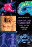 Эволюция человека том 2: Обезьяны нейроны и душа - Марков Александр Владимирович (биолог)
