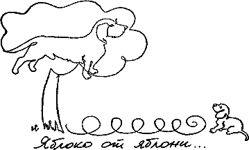 400 советов любителю собак - i_035.png