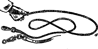 400 советов любителю собак - i_051.png