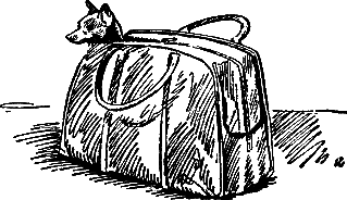 400 советов любителю собак - i_064.png