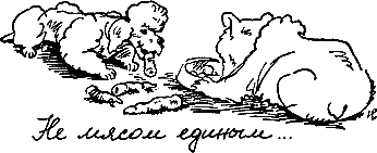 400 советов любителю собак - i_076.png