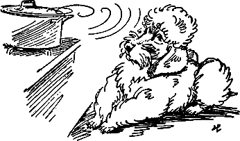 400 советов любителю собак - i_077.png