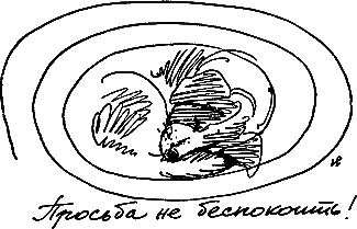 400 советов любителю собак - i_094.png