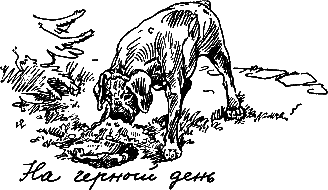 400 советов любителю собак - i_095.png