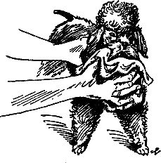 400 советов любителю собак - i_103.png