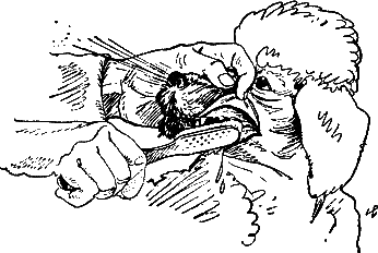 400 советов любителю собак - i_106.png