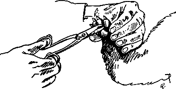 400 советов любителю собак - i_109.png