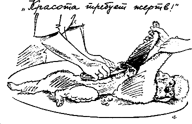 400 советов любителю собак - i_111.png