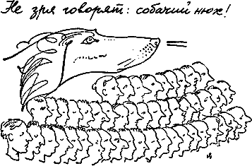 400 советов любителю собак - i_142.png