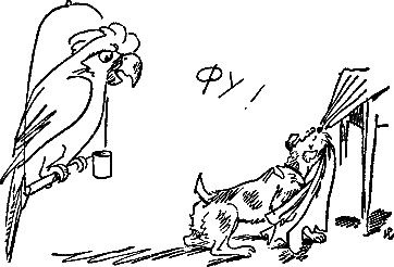 400 советов любителю собак - i_191.png