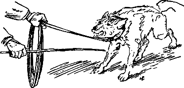 400 советов любителю собак - i_205.png