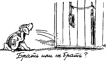 400 советов любителю собак - i_209.png