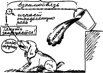 400 советов любителю собак - i_210.png