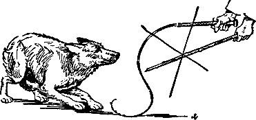 400 советов любителю собак - i_212.png