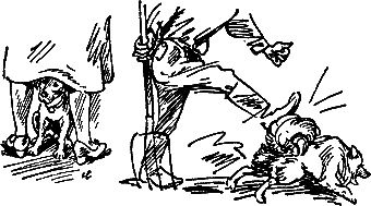 400 советов любителю собак - i_214.png