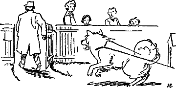 400 советов любителю собак - i_218.png