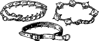 400 советов любителю собак - i_222.png