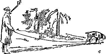 400 советов любителю собак - i_223.png