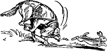 400 советов любителю собак - i_225.png