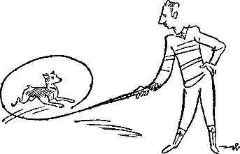 400 советов любителю собак - i_227.png