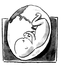 Цацики и вселенная - i_028.png