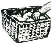 Ночные птицы - i_073.jpg