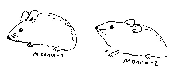 Рико, Оскар и тени темнее темного - _020.jpg