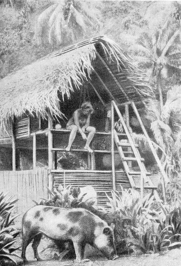 В поисках рая - vrezka34.jpg