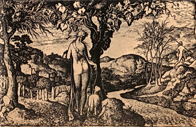 Поэзия английского романтизма XIX века - i_013.jpg