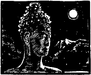 Лунный камень - doc2fb_image_03000023.png