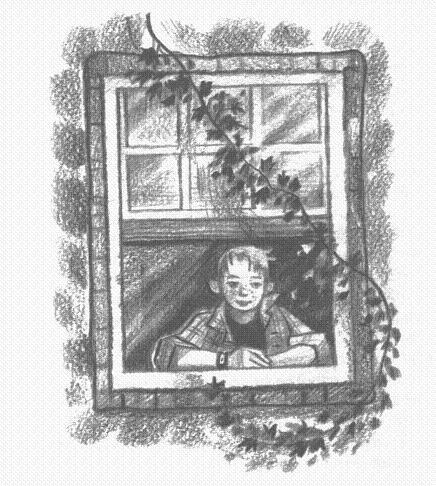 Пендервики - berds0003.jpg