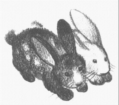 Пендервики - berds0018.jpg