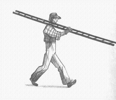 Пендервики - berds0021.jpg