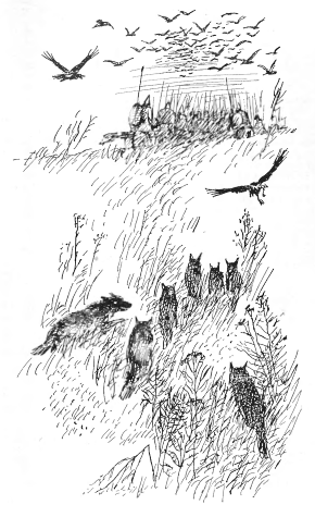 Гості з греків - p13.png