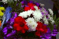 Журнал «Компьютерра» №43 от 22 ноября 2005 года - pic_33.jpg