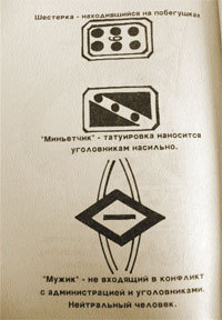 Журнал «Компьютерра» № 16 от 25 апреля 2006 года - _636o21n3.jpg