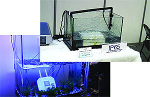 Журнал «Компьютерра» № 25-26 от 11 июля 2006 года (645 и 646 номер) - _645w16t920.jpg