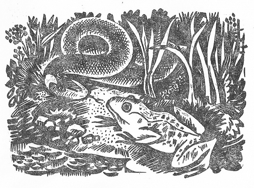 Три веселых зайца - _10.jpg