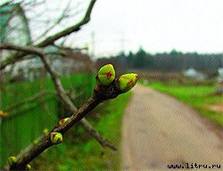 Журнал «Компьютерра» № 47-48 от 19 декабря 2006 года - _667k1f6.jpg