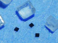 Журнал «Компьютерра» № 6 от 14 февраля 2006 года - _626l1l7.jpg