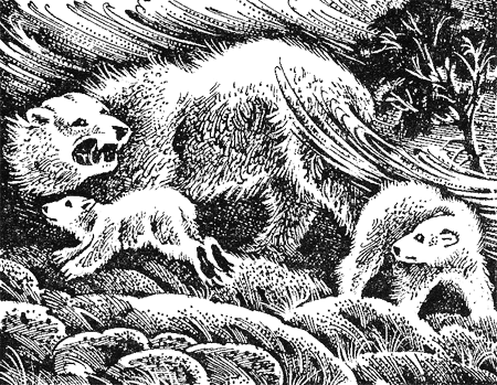 Медвежье озеро - image07.png