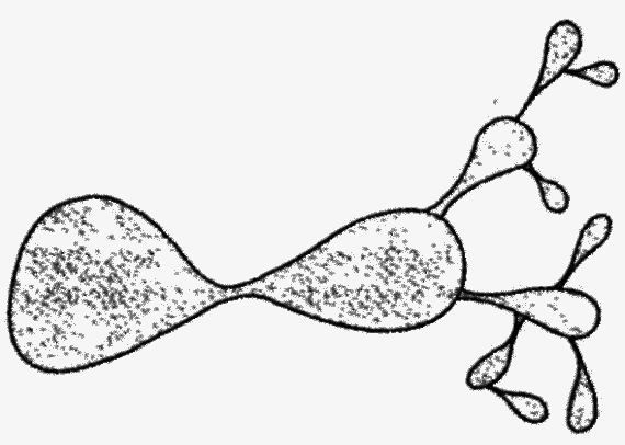 Параллельные миры - i_002.png