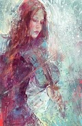 Серия книг Северная корона