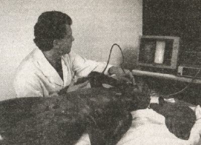 Сокровища на дне - i_011.jpg