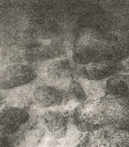 Сокровища на дне - i_029.jpg