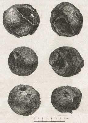 Сокровища на дне - i_076.jpg