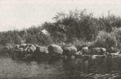 Сокровища на дне - i_083.jpg