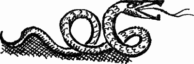 Жизнеописание Сайфа сына царя Зу Язана - i_078.png