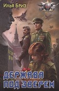 Серия книг Зверь над державой