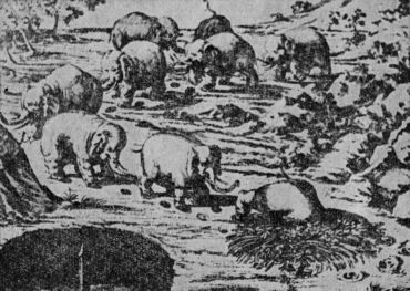 Колесницы в пустыне - image5.png